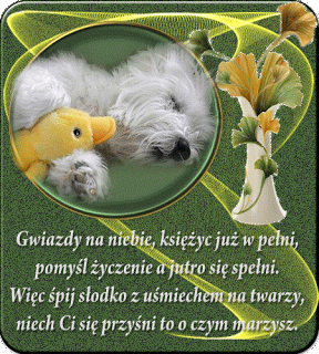 Biały piesek z kaczuszką z życzeniami na dobranoc